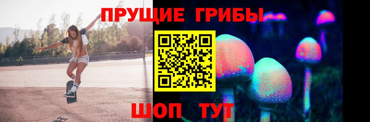Псилоцибиновые грибы MAGIC MUSHROOMS Сегежа